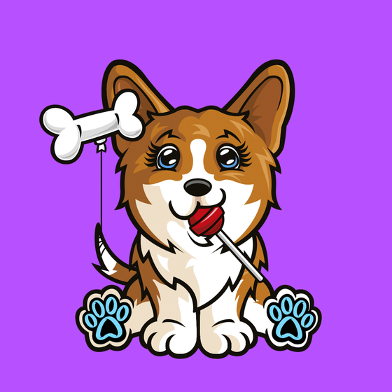 Penbroke Welsh Corgi 0697