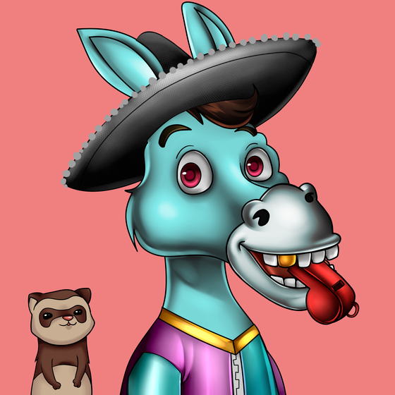 Sombrero Donkey #1804