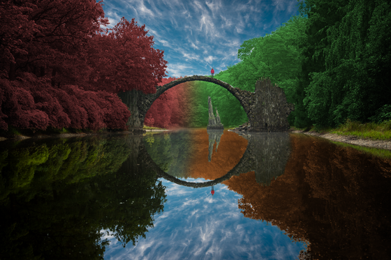 Reflection #121