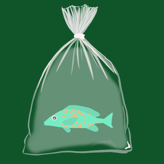 Feesh #1058