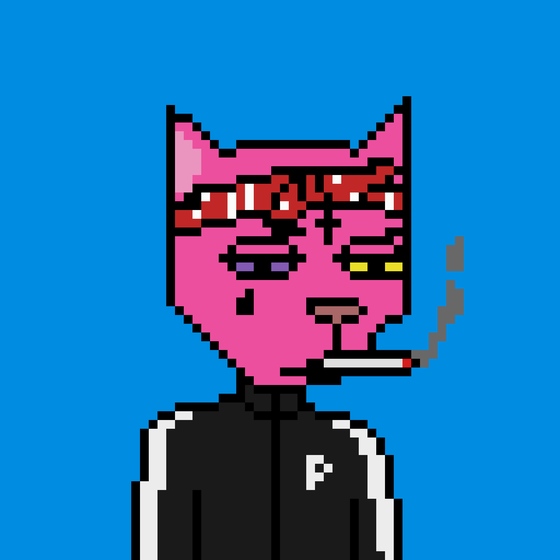 Pixel Cat Gang #28