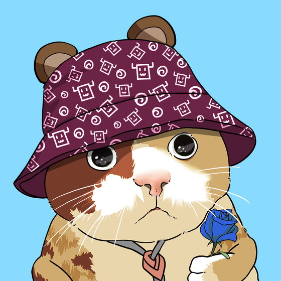 Puzzled cat #746