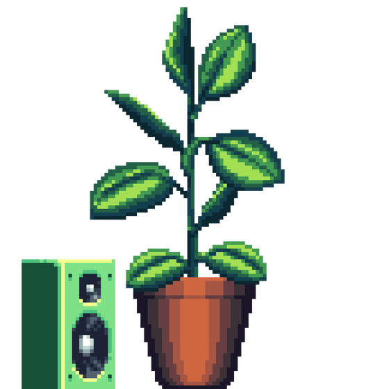 Rubber Plant in Cone pot with Speaker