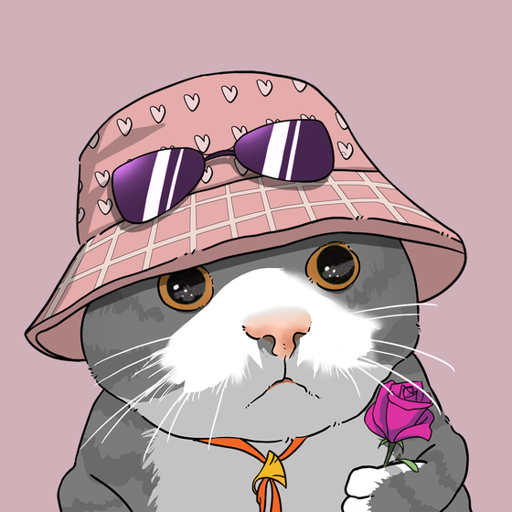 Puzzled cat #4150