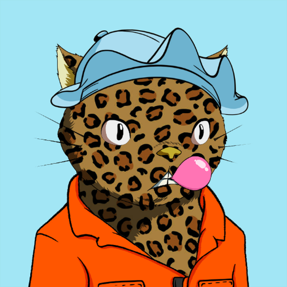 Kitaro Yacht Club #2577