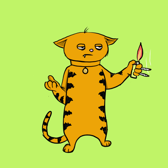 Blazed Cat #8280