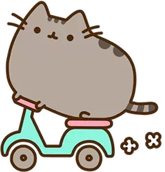 Bicycle Pusheen