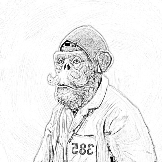 Sketchy Old Ape #284