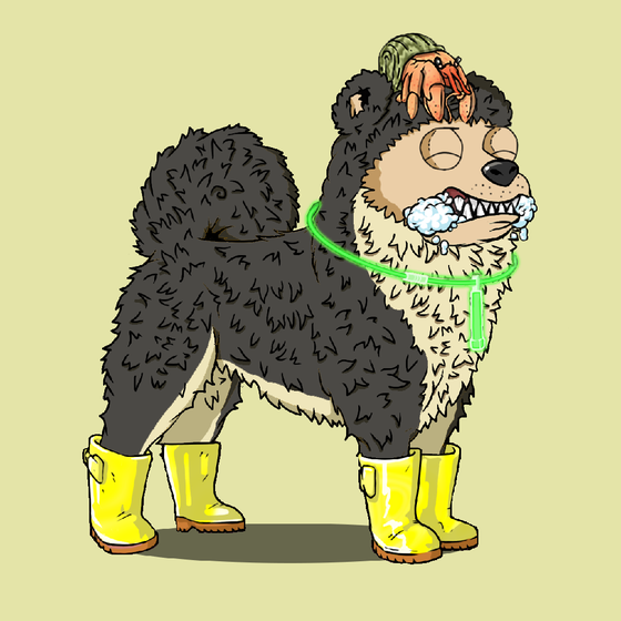y00ts Canine Club #2018