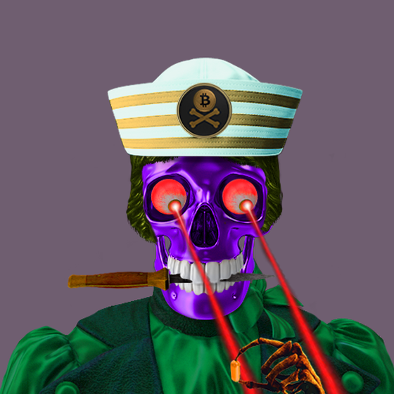 Blockchain Pirate #3480