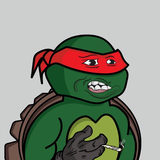 Degen Ninja Turtle #973