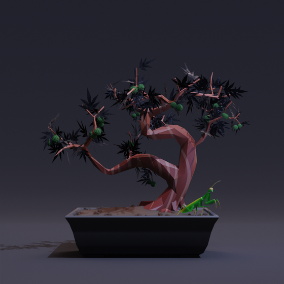 Bonsai #229