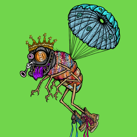 Funky Fly #2580