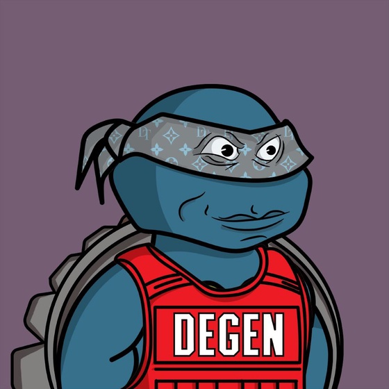 Degen Ninja Turtle #5310