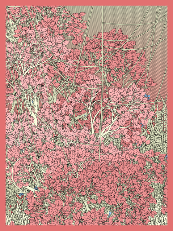 Entangled #250