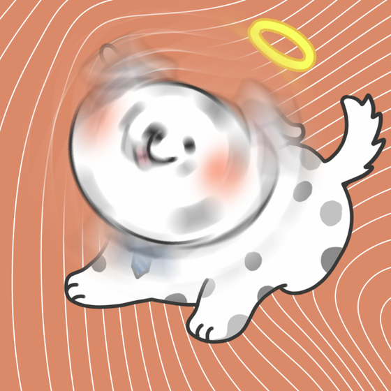 DogDrill#1201