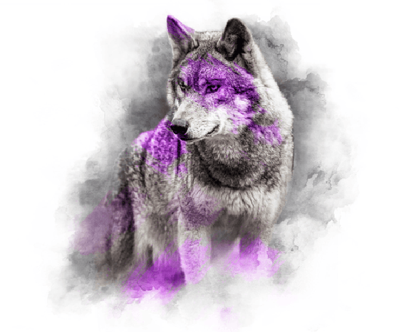 PURPLE SERIES - WOLF