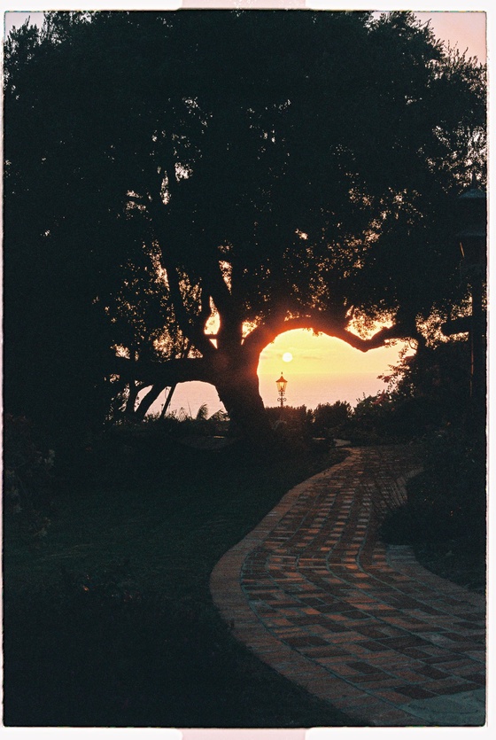 the secret garden