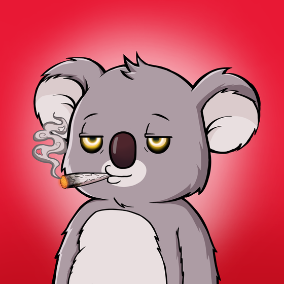 Koala Agent #342