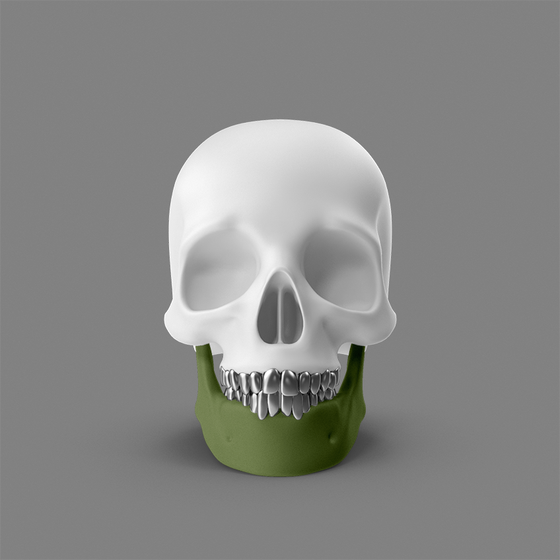 Skull #723