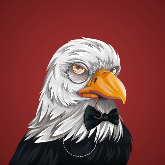 #4922 Bald Eagle