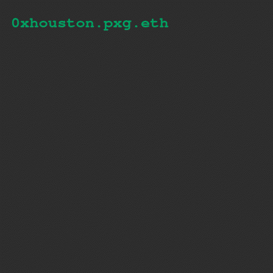 0xhouston.pxg.eth