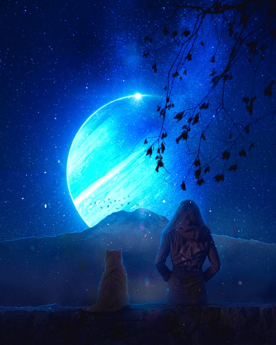 STARGAZING