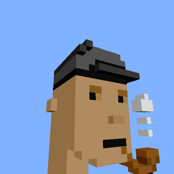 PunkVoxels #1288