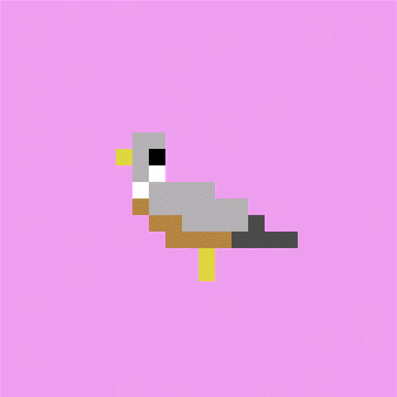 Crypto Pigeon #89