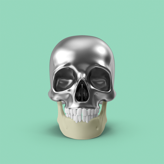 Skull #806