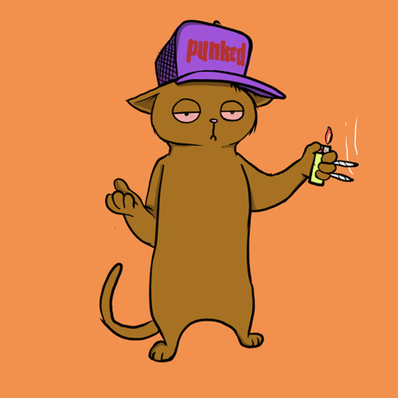 Blazed Cat #3651