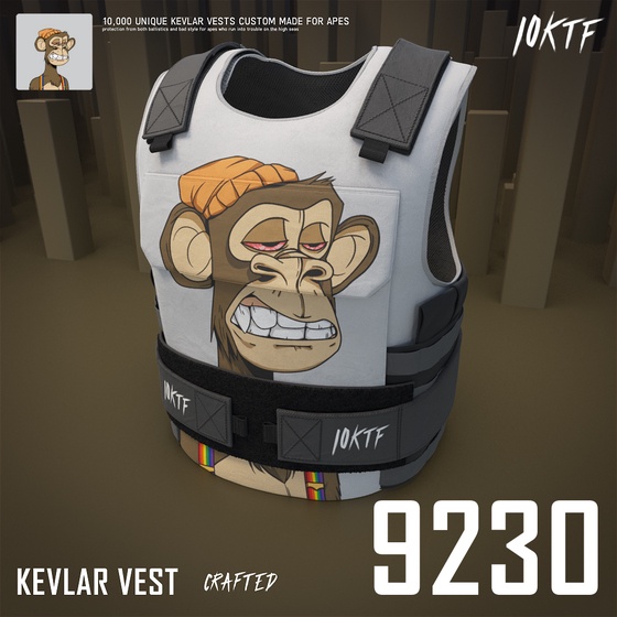 Ape Kevlar Vest #9230