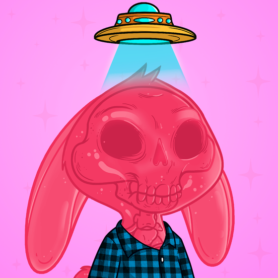 Super Rabbit #5467