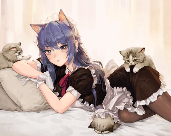 kitten maid