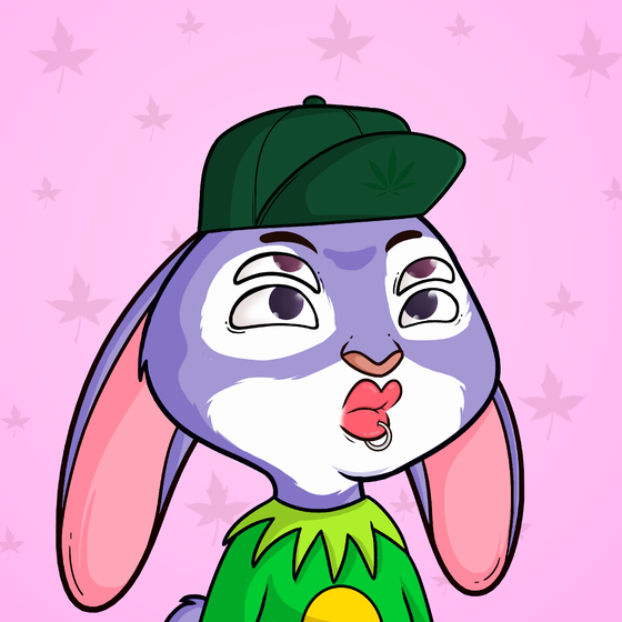 Super Rabbit #4302