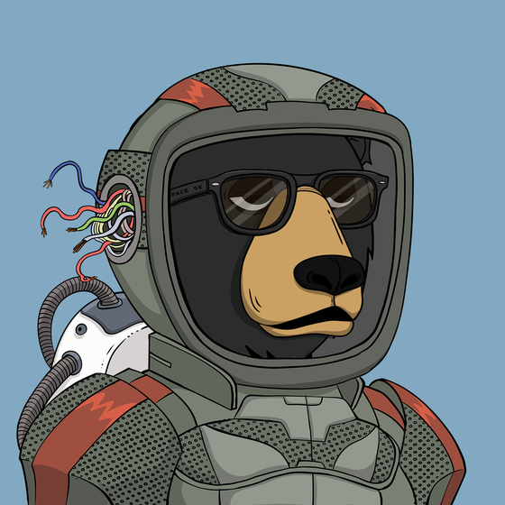 Okay Space Bear #1317