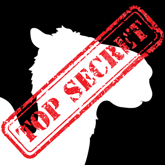 Rare Crazy Camels Top Secret