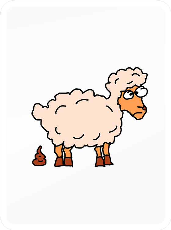 Shitty Sheep