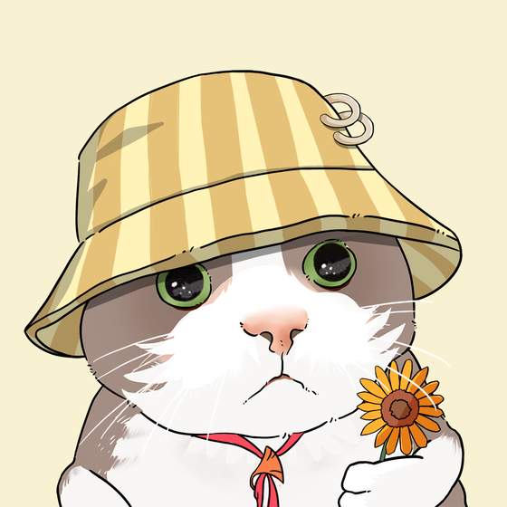 Puzzled cat #4164