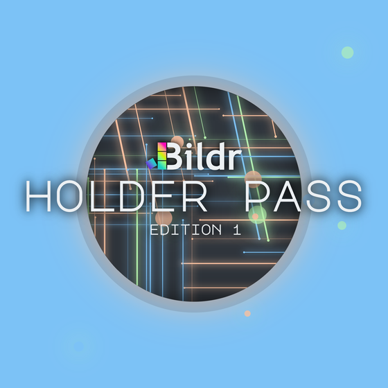 Bildr Holder Pass