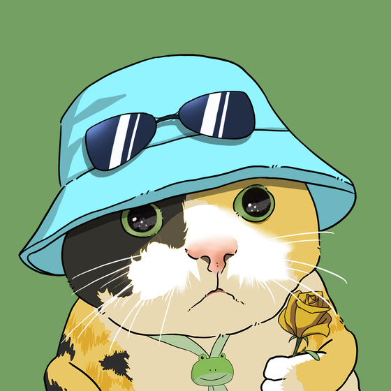 Puzzled cat #2519