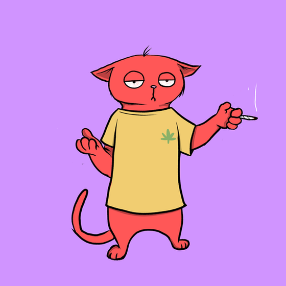 Blazed Cat #8113