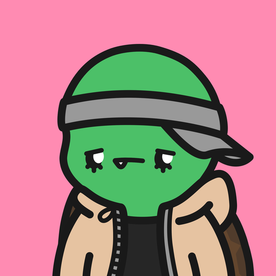 Turtle Town #556