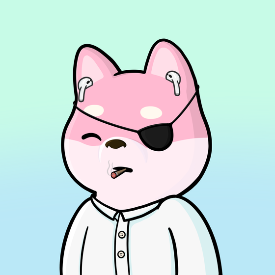 Shibe #1668