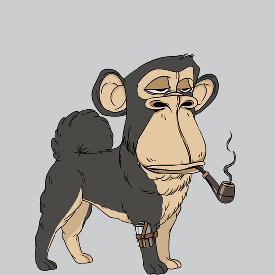 Kennel Ape #7153