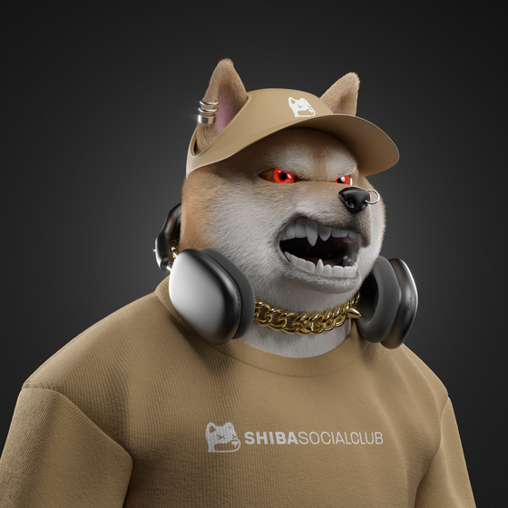 Shiba #6305