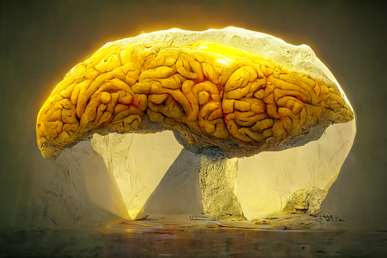 Brain #144