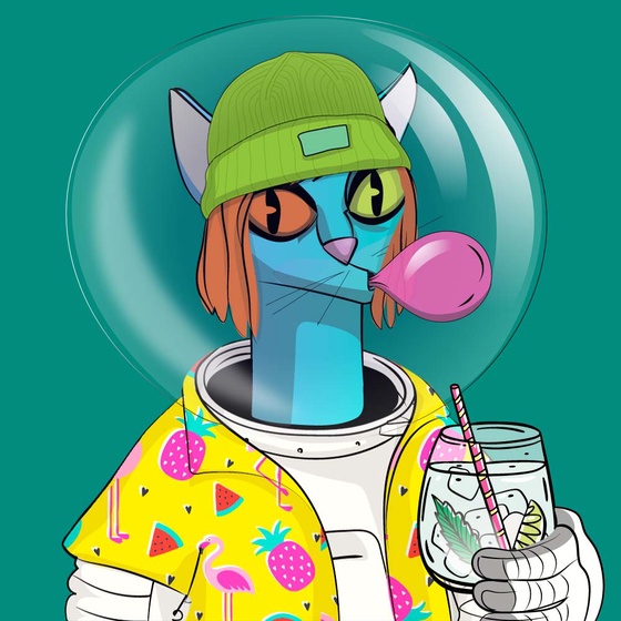 Spacewalker #814