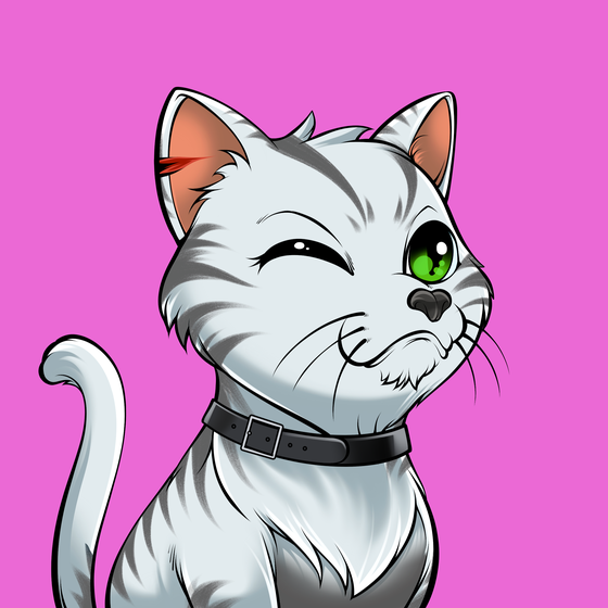 Cat #451