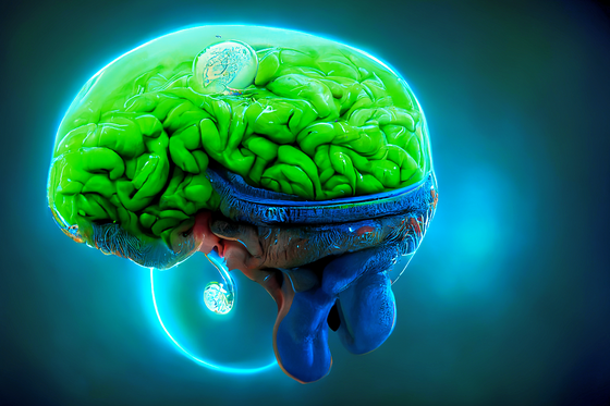Brain #167
